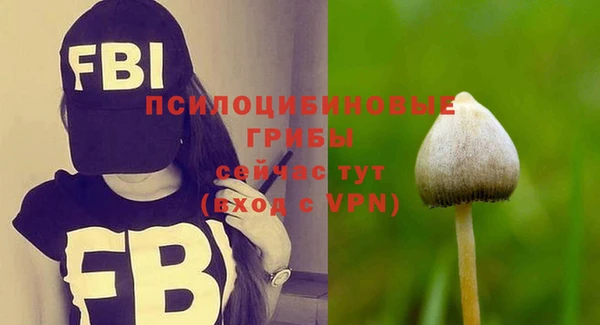 Альфа ПВП Магадан