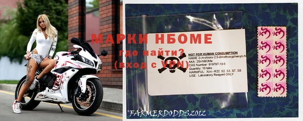 Альфа ПВП Магадан