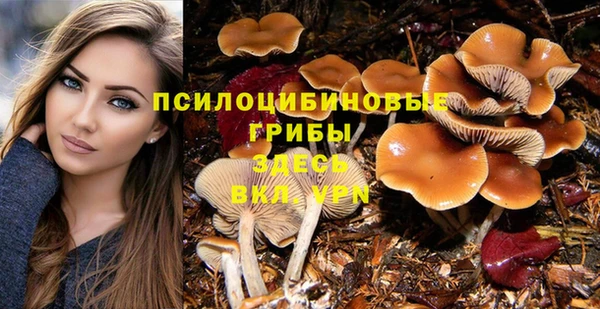 спайс Гусиноозёрск