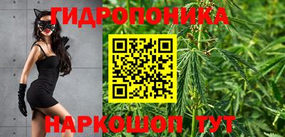 ГАЛЛЮЦИНОГЕННЫЕ ГРИБЫ Беслан