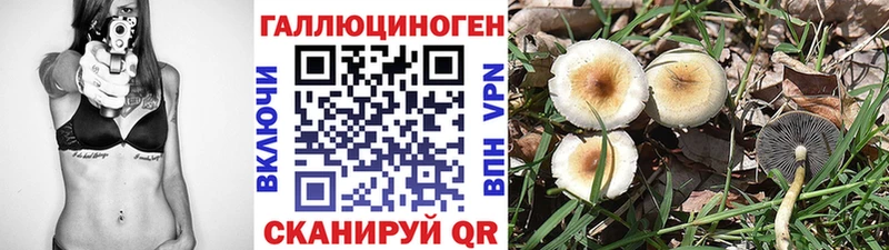 Галлюциногенные грибы ЛСД  закладка  Елизово 