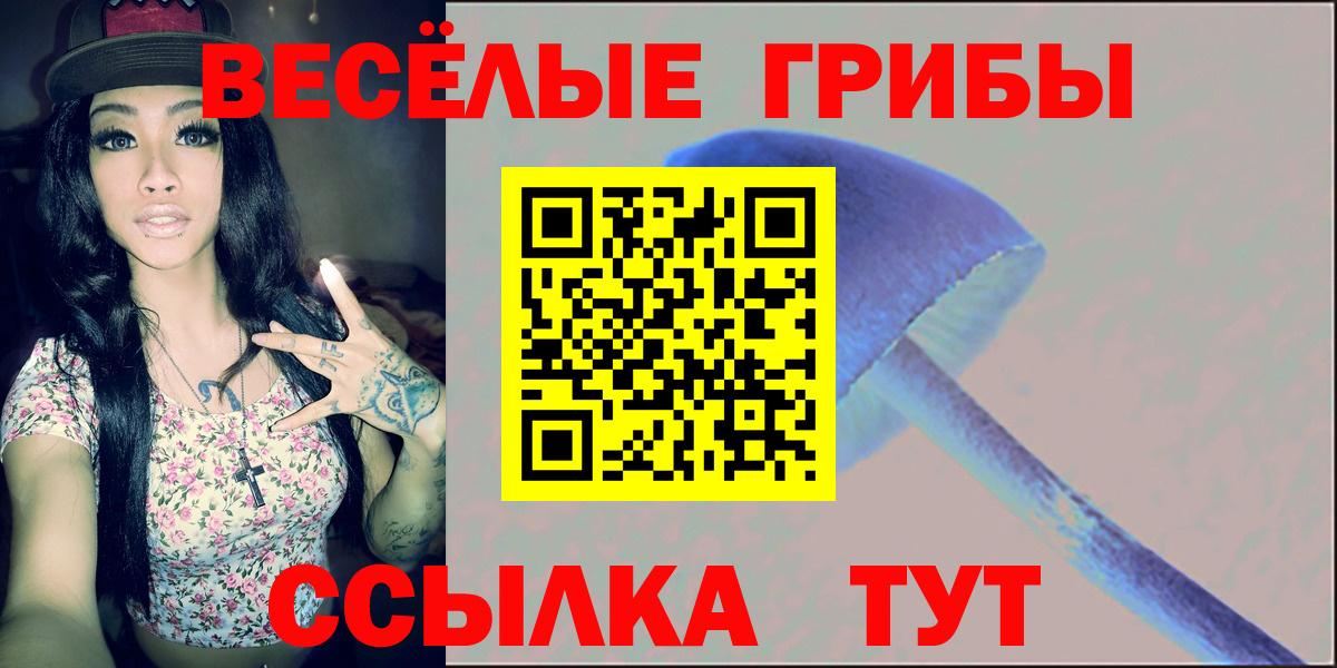 Галлюциногенные грибы Psilocybine cubensis Елизово