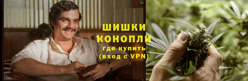 Конопля Bruce Banner  Елизово 