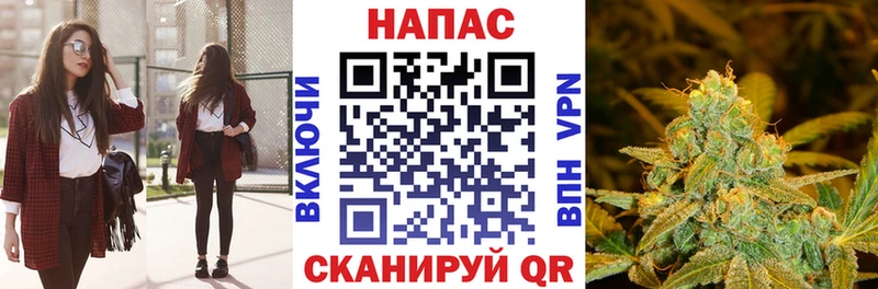 Марихуана индика продажа наркотиков Елизово